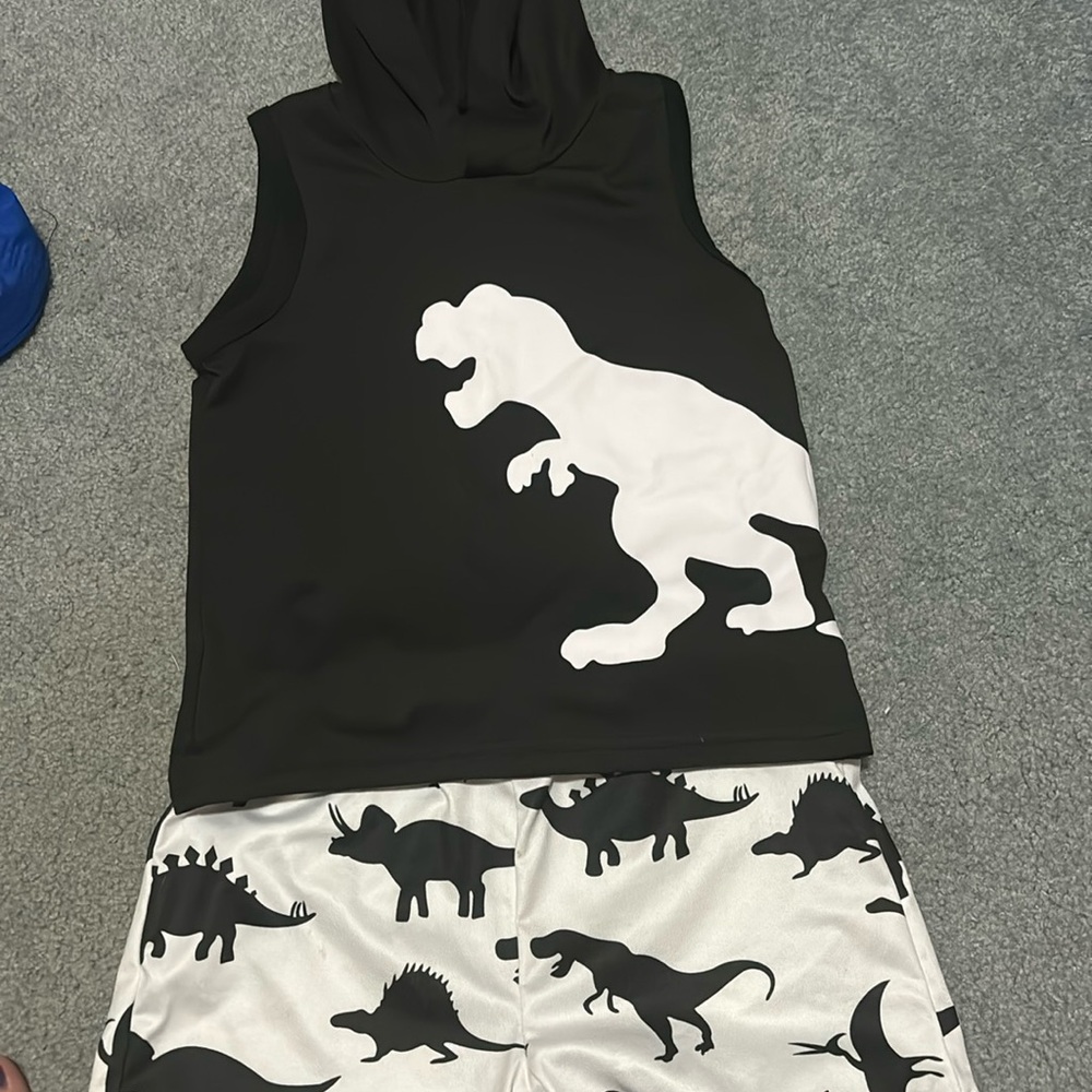 Boys Dino summer outfit size 5